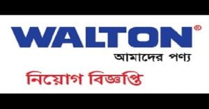 Walton Group jobs