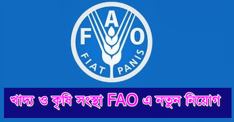FAO Job Circular