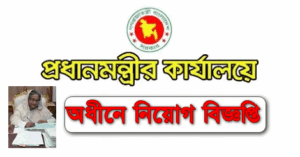 Prime Minister Office Job circular