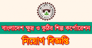 BSCIC Job circular