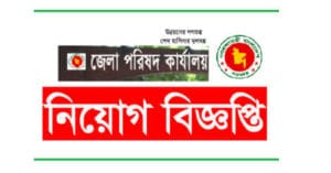 District Council Job circular
