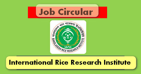 IRRI Job Circular