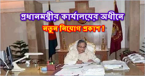 Pmo Job Circular