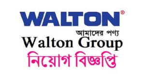 Walton Group Job