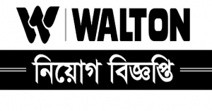 Walton Group Job new