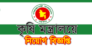 Data Analyst Job circular