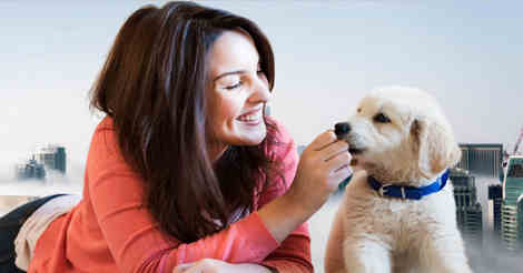 Best pet setting near you