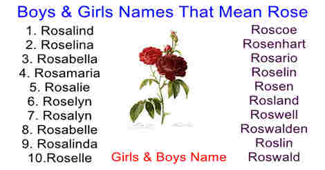 boys & girls names that means rose