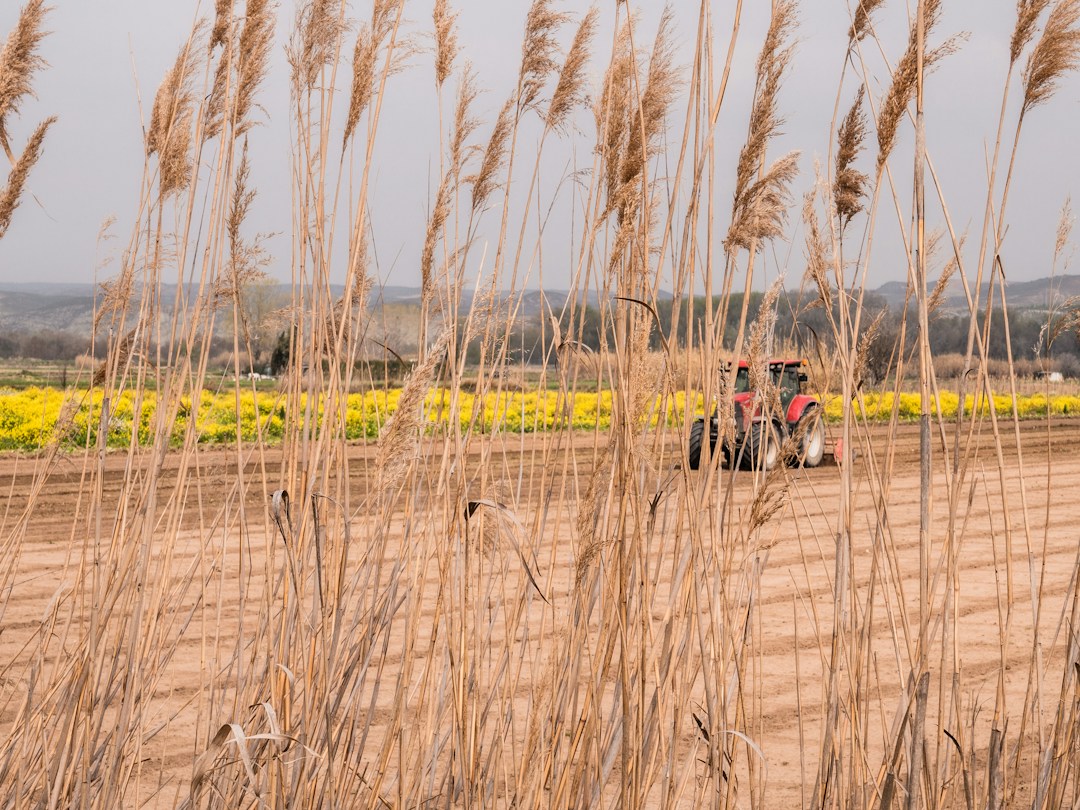 Agricultural field work for BRAC Microinsurance Jobs 2026