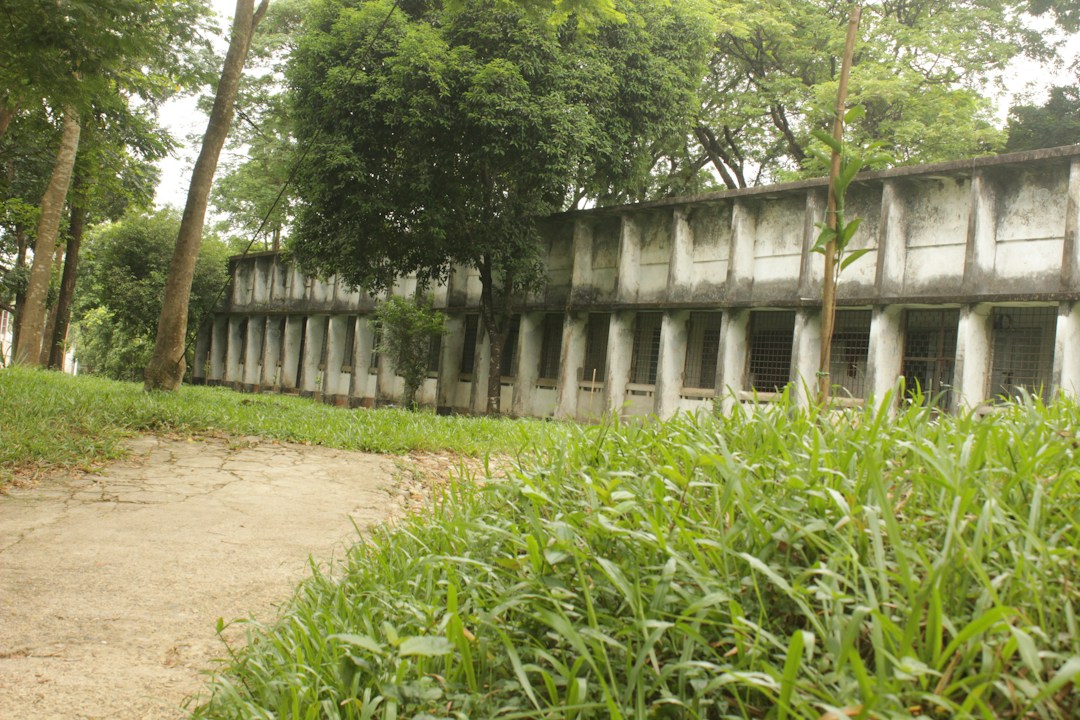 Illustrative university campus for NU On-Campus Regular Masters Result 2026, photo by Sheikh Abir Ali via Unsplash